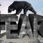 Scare Bears - Market Fear
