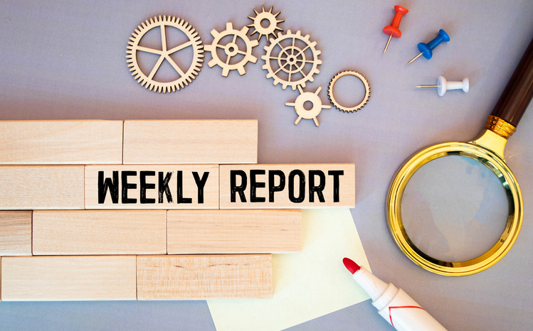 Your Weekly Income Report